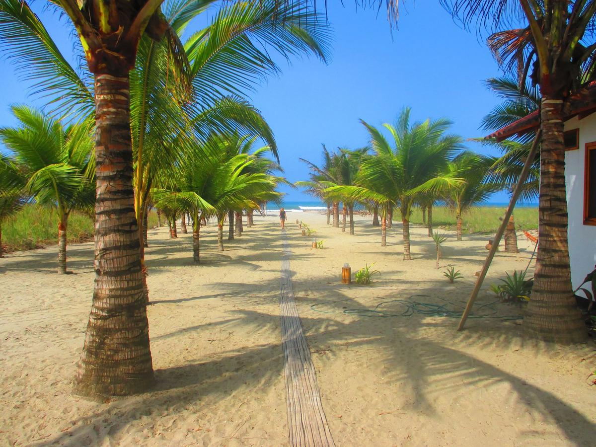 Beach Front Bungalows At The Coconut Canoa Eksteriør billede